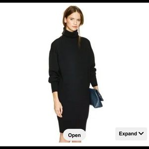 Aritzia Babaton Pensee Dress